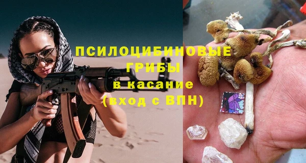 гашик Верхний Тагил