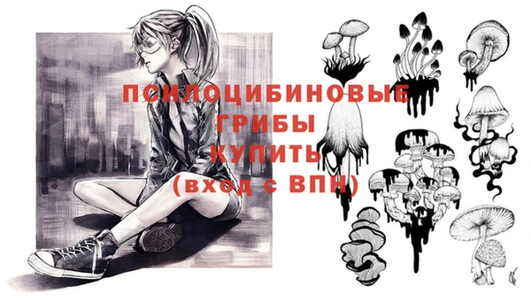 молекула духа Верея