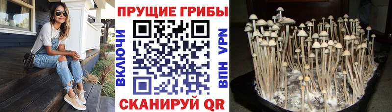 Псилоцибиновые грибы ЛСД Мончегорск